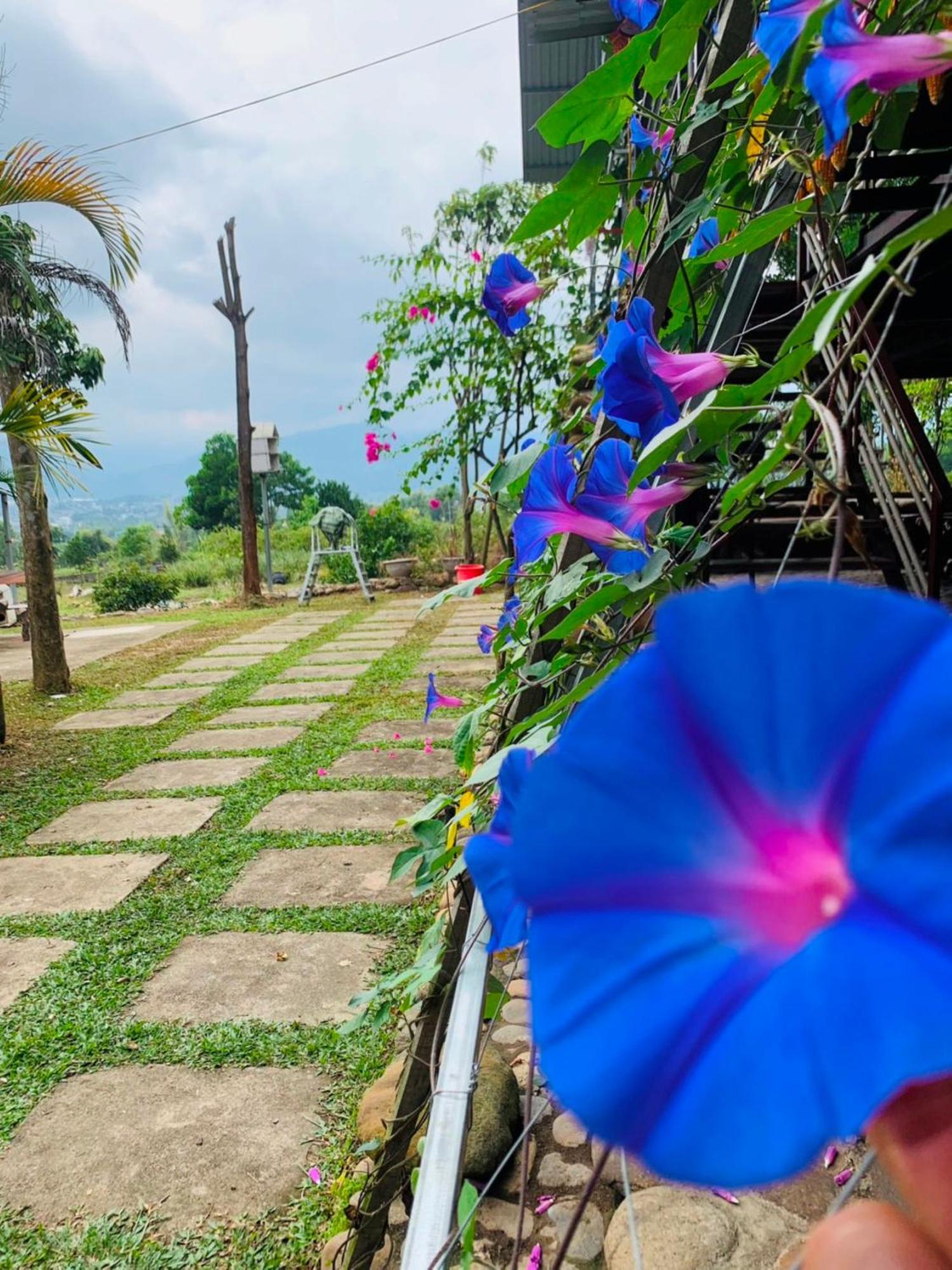 Homestay Nha Cua Mi - Mi'S House Yen Bai Exteriér fotografie